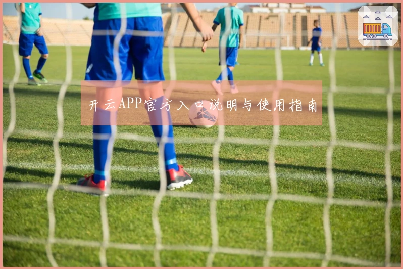 开云APP官方入口说明与使用指南