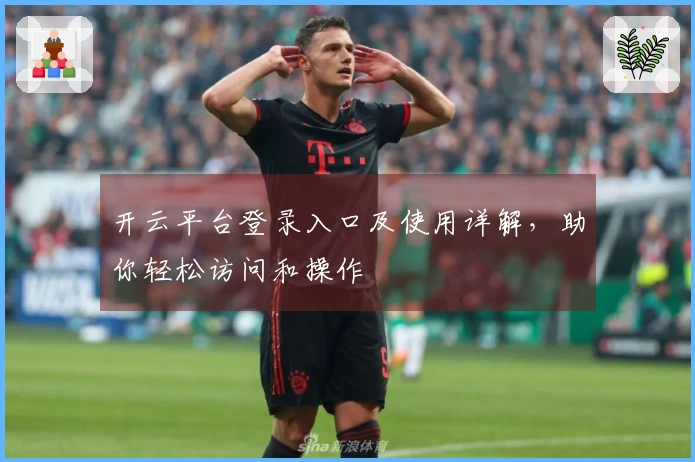 开云平台登录入口及使用详解，助你轻松访问和操作