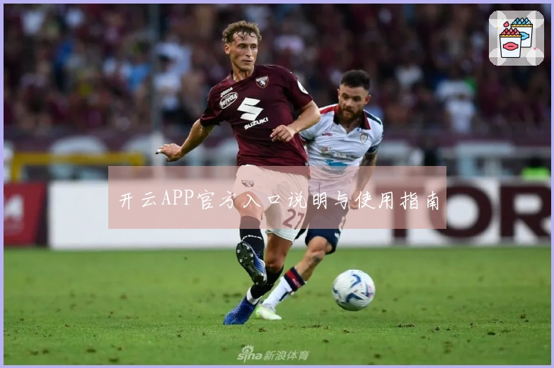 开云APP官方入口说明与使用指南